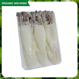 Mực ống nguyên con làm sạch size 10-12cm 500gr