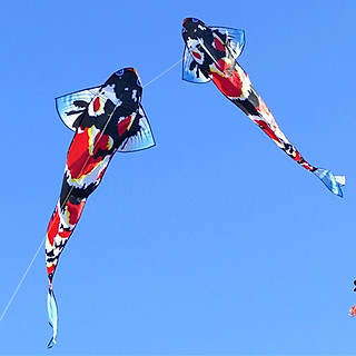 Diều cá koi - Tặng tay cầm thả diều dài 150 mét + túi vải đựng (diều thả, diều giá rẻ, diều đẹp) cá chép