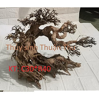 Lũa Bonsai Thủy Sinh nhiều size