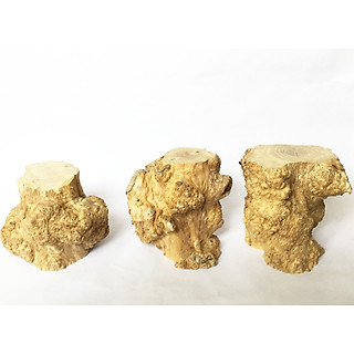 Đôn gỗ nhỏ từ Khúc gỗ tự nhiên nu cà phê nhiều size [phát mẫu-hình dáng ngẫu nhiên] dùng làm đôn, bàn, ghế, trang trí, decor