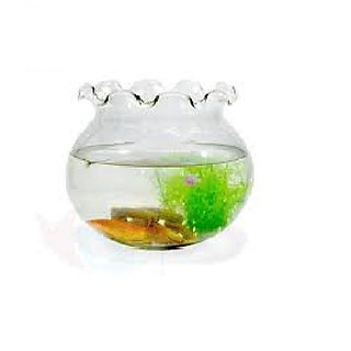 Chậu thủy tinh miệng bèo mini 11*10 CM - Chậu Thuỷ Tinh Nuôi Cá, Trồng Cây Mini