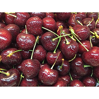 Cherry đỏ New Zealand size 26 - 500g
