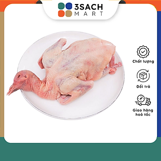 Thịt Bồ Câu Tươi Sống 3S (con từ 200gr - 220gr)