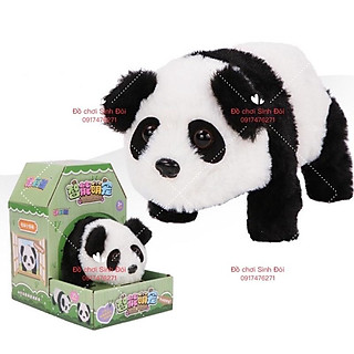 GẤU CON BIẾT ĐI VÀ CÓ TIẾNG KÊU