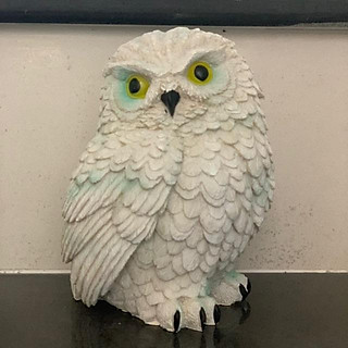 cú mèo cảnh - Nội Thất Korea