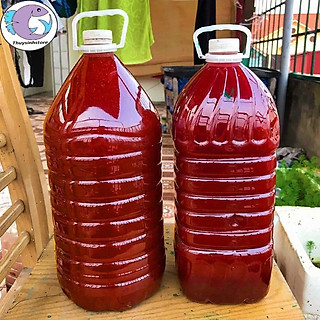 Vi sinh bể cá (5 lít) Men vi sinh  PSB+