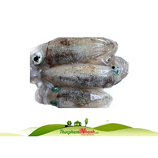 Mực lá tươi 3-6 con/kg - Khay 500g