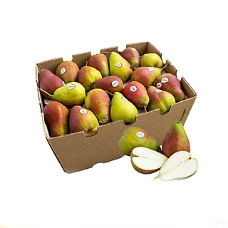 Lê Nam Phi (1KG) - Vị ngọt thanh, rất giòn và thơm.