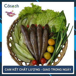Cá bống cát làm sạch size vừa - 300 g