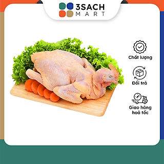 Gà ta Gò Công - 1.5kg (con)