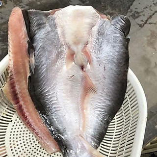 Cá Dứa Nuôi- Basa