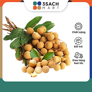 Nhãn Xuồng (Hộp 500gr)