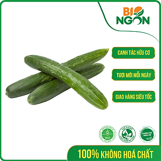Dưa Leo Giống Nhật (vỉ 500g)