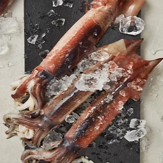 Mực ống / 오징어 500 ~ 600g