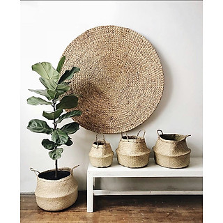 Giỏ cói trồng cây HANHDECOR / giỏ đựng quần áo/decor tự nhiên có quai/giỏ cói đựng đồ nhiều kích thước [Bán buôn/sỉ