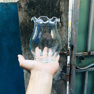 Chậu thủy tinh mini tai bèo , bể cá mini