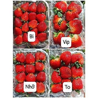 Hộp 0.5kg Dâu Tây Mộc Châu Hàng Đẹp, Dâu Ngọt Đủ Size