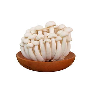 Nấm Linh chi trắng Hokto (100g)