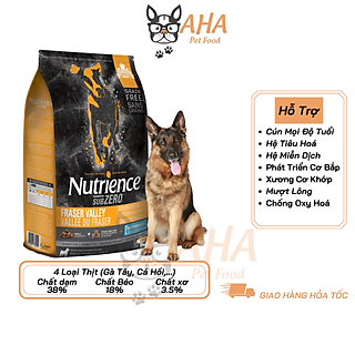 Thức Ăn Cho Chó Becgie Nutrience Infusion Cơ Bắp, Da Lông Bao 5kg Phát Triển Cơ Bắp - Thịt Gà Tây, Rau Củ, Trái Cây