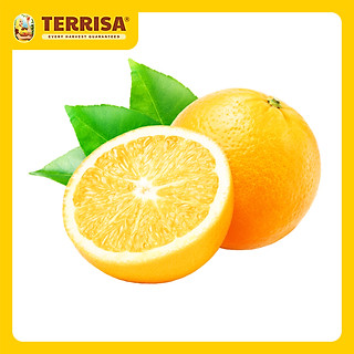 Cam Úc Navel size 50 (Set 3 trái ~ 800 g)