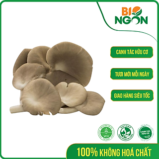 Nấm bào ngư xám ( Hộp 200g)