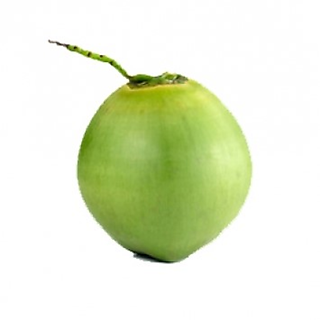 Dừa xiêm trái-3000936