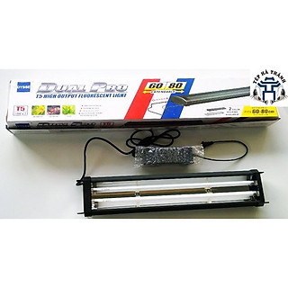 Đèn Odyssea T5HO 60-80cm