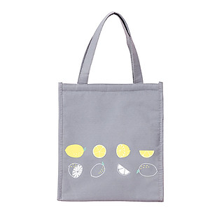 Túi giữ nhiệt nóng, lạnh cao cấp, đựng cơm văn phòng size lớn hình trái cây