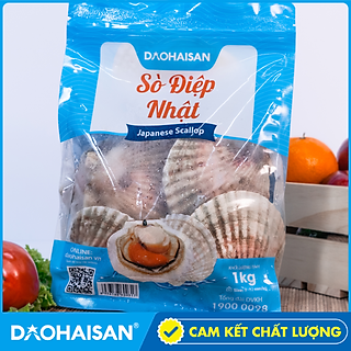 Sò Điệp Nhật Khay 1Kg