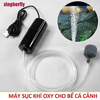 Máy sủi sục khí oxy cho bể cá cảnh loại tốt, máy bơm nước bể cá cảnh có đèn đổi màu trang trí đẹp
