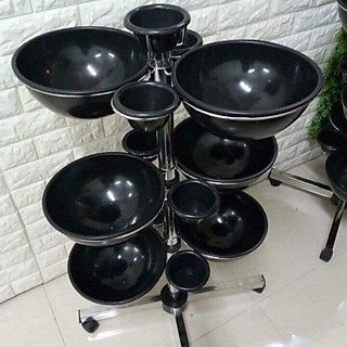 Cây bát đựng nước cho Spa