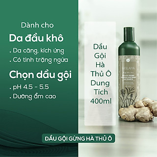 Dầu Gội Weilaiya - Dầu Gội Mọc Tóc - Giảm Rụng (Chai lớn 400ml)
