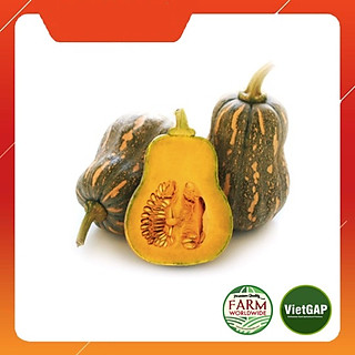 Bí đỏ hồ lô 2-3 trái [5kg]