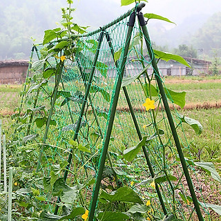 Lưới trồng cây , dây leo giàn cước  màu xanh ngọc cao cấp