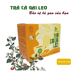 Trà thảo dược cao cấp Thái Hưng: CÀ GAI LEO (Hộp 25 túi 2,5g)