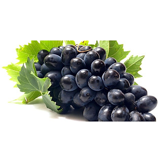 Nho đen không hạt Mỹ
