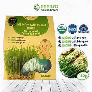 Mì Ăn Dặm Cho Bé Hữu Cơ Mầm Lúa Mạch Organic Anpaso BLW, kiểu Nhật từ 7 tháng bổ sung chất xơ, cải thiện táo bón 120g
