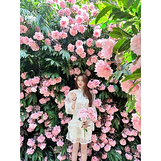 Mã D21  đầm queen dúng bèo Thiết Kế