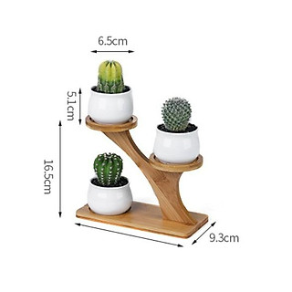 Kệ Để Chậu Cây Bằng Gỗ/ Kệ Trang Trí Trồng Cây, Giá Để Chậu Sen Đá, Xương Rồng