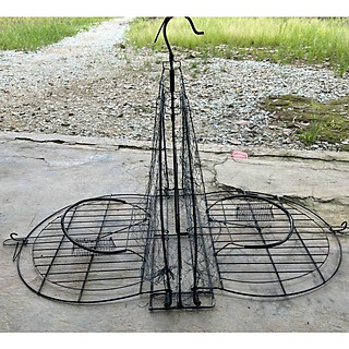 Mẹt bẫy chim treo cây và để đất bẫy bìm bịp