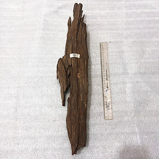 Lũa săn đá vân gỗ đẹp trang trí bể cá, tiểu cảnh, sân vườn, terrarium, bán cạn nhiều