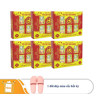 Yến Thiên Hoàng 15% Hương Trái Cây ( 6 Lọ/ Hộp) + Tặng kèm 1 Đôi Dép