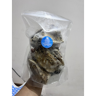 Hàu Nhật - sashimi