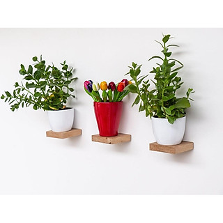 Kệ gỗ vuông giấu chân gắn tường trang trí Kệ treo tường bằng gỗ tự nhiên phong cách tối giản