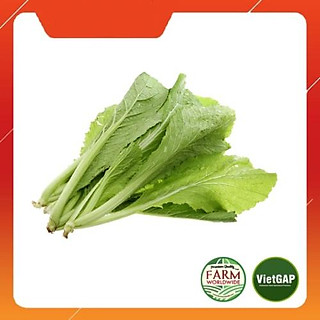 Cải bẹ xanh [10kg]