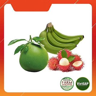 Combo Trái Cây 4 (3 kg Chôm Chôm + 1 nải Chuối + 1 quả Bưởi)