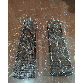 Lồng bẫy chim ưng đại bàng diều hâu