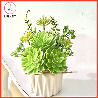 Hoa giả, chậu sen đá mini trang trí bàn, kệ tủ, giá sách