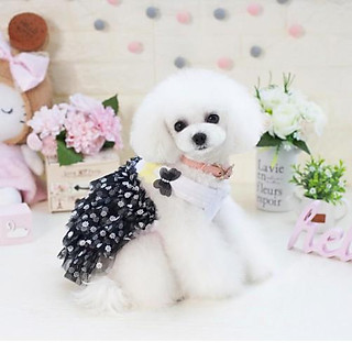 VÁY XOÈ HOA NHÍ CHO CHÓ MÈO