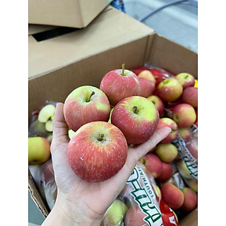 Táo túi Nam Phi ( túi 3kg )